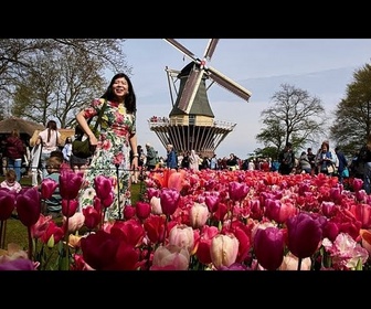 Replay Aux Pays-Bas, Keukenhof attire les amateurs de tulipes du monde entier