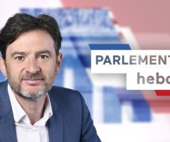 Replay Parlement hebdo - Erwan Balanant