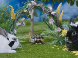 Replay Moustache & Patoune - Le mariage de la famille Lapin