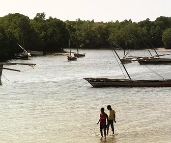 Replay New York / Kenya / Pays de Galles - Invitation au voyage