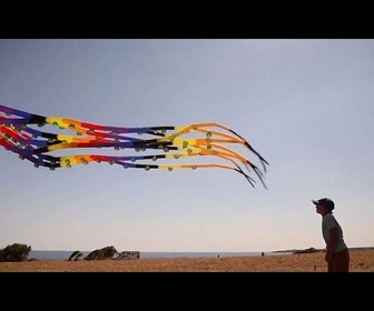 Replay Ours, pieuvre, oiseau : découvrez les cerfs-volants atypiques du festival Via Pontica, en Bulgarie