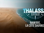 Replay Thalassa, aventures extrêmes - 03/11/2025