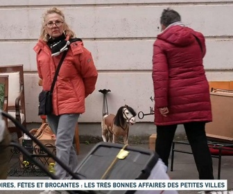 Replay Un jour, un doc - Foires, fêtes et brocantes : les très bonnes affaires des petites villes