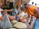 Replay Inde, le marché aux fleurs - Marchés du monde