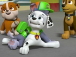 Replay Paw Patrol, la Pat'Patrouille - S05 E06 - La Pat' Patrouille des Mers sauve une baleine