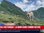 Replay BFM Première prématinale - Focus régions - 26/06