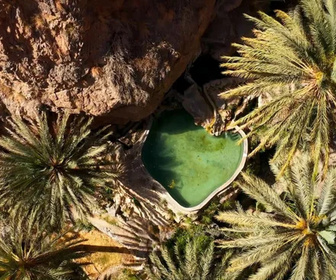 Replay Oasis - Oman, les jardins suspendus du djebel Akhdar