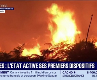 Replay Good Morning Business - Incendies : l'État active ses premiers dispositifs