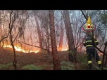 Replay En Toscane, un feu de forêt sur le Monte Faeta : 800 hectares brûlés, 3 000 personnes évacuées