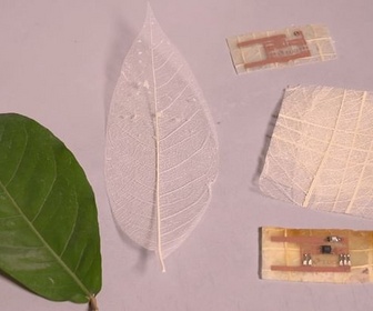 Replay ARTE Journal - Créer des circuits imprimés à partir des arbres