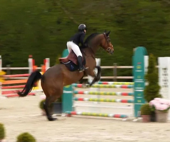Replay Au galop ! - Encore plus haut pour le CSO