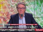 Replay Les Grandes Gueules - Incendies : faut-il annuler les feux d'artifice du 14 juillet ?