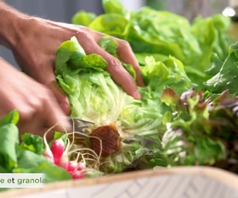 Replay Petits plats en équilibre - Salade et granola salé