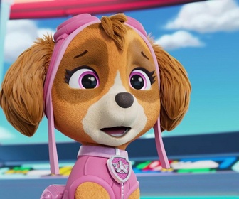 Replay Paw Patrol, la Pat'Patrouille - Yumi l'Abeille