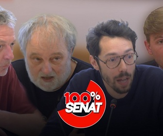 Replay 100% Sénat - Zones grises de l'information : audition de Blast, Basta ! StreetPress et Frontières