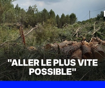 Replay ROBIN DE BFM - Ils créent des pare-feux en urgence pour freiner la propagation de l'incendie