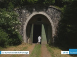 Replay Les dossiers d'ICI - Le tunnel secret du fromage