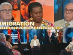 Replay Ces idées qui gouvernent le monde - L'immigration est-elle un problème en France ?