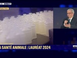 Replay BFM Awards - Marc Prikazsky, président-directeur général de Ceva Santé Animale, remporte le BFM Award des Territoires