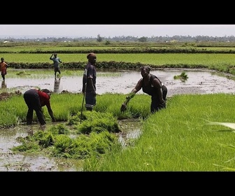 Replay Au Kenya, des femmes nubiennes ravivent leurs traditions grâce à l'agriculture urbaine