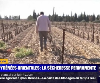 Replay C'est votre vie - Pyrénées-Orientales, la sécheresse permanente - 26/01