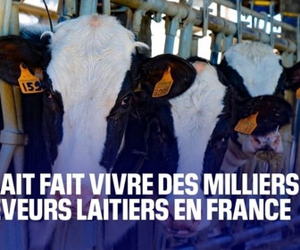 Replay La France a tout pour réussir - Comment maintenir l'élevage laitier en France ?