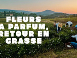 Replay La ligne bleue - Fleurs à parfum, retour en Grasse