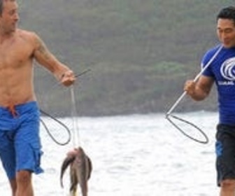 Replay Hawaii 5-0 - S1 E11 - Palekaiko