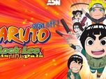 Replay Naruto SD-Rock Lee : les péripéties d'un ninja en herbe - Épisode 45