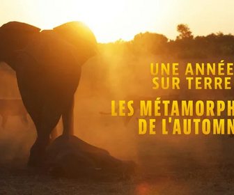 Replay Une année sur terre - 19/05/2026