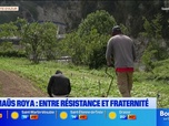 Replay Les longs formats des Locales - Emmaüs Roya : entre résistance et fraternité