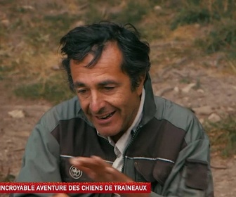Replay Un jour, un doc - L'incroyable aventure des chiens de traîneaux