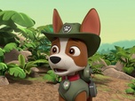 Replay Paw Patrol, la Pat'Patrouille - La peluche du Géant-panzé