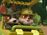 Replay Paw Patrol, la Pat'Patrouille - Un éléphanteau joueur