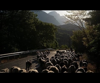 Replay Grèce : trois nouveaux cas de fièvre aphteuse confirmés à Lesbos