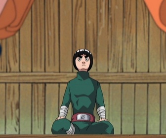 Replay Naruto - S8 E15 - On recherche écumeurs de dojo