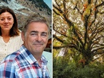 Replay 28 minutes - La plus petite école de France / COP17 sur la biodiversité (29/10/2026)