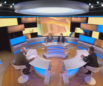 Replay Ici l'Europe - Lois et majorités au Parlement européen - Qui a voté quoi?