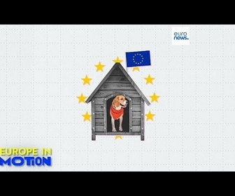 Replay Chiens de compagnie : où le meilleur ami de l'homme est-il le plus populaire dans l'UE ?
