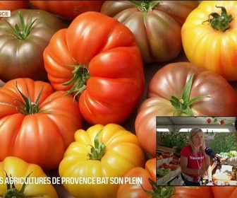 Replay Les longs formats des Locales - Le Salon des Agricultures de Provence bat son plein au domaine du Merle