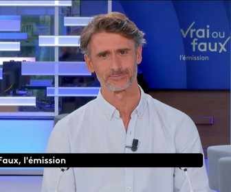 Replay Vrai ou faux, l'émission - Un milliard d'imageries médicales inutiles ?