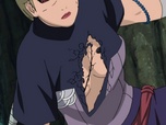 Replay Naruto Shippuden - S13 E19 - Hôtes contre hôtes!