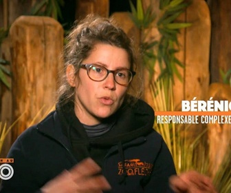 Replay Une saison au zoo - S13 E2