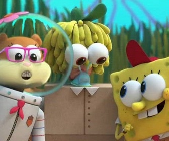 Kamp Koral : Bob la petite éponge replay