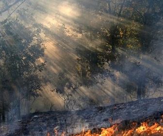 Replay Urgence climatique : un défi mondial - Après les incendies, la pollution