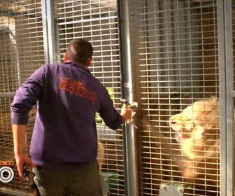Replay Une saison au zoo - S13 E25