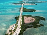 Replay Le Sud - Destination nature : la Floride
