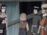Replay Naruto - S7 E3 - La vengeance de Raïga