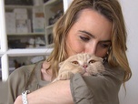 Replay La vie secrete des chats - S2E1 - Du chat des villes au chat des champs