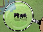 Replay Karambolage - L'aurochs de Heck